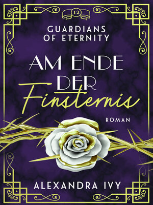 cover image of Am Ende der Finsternis